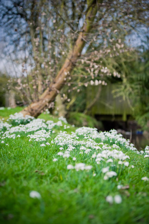 Leintwardine Walford Court Bed & Breakfast エクステリア 写真