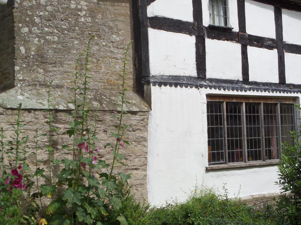 Leintwardine Walford Court Bed & Breakfast エクステリア 写真